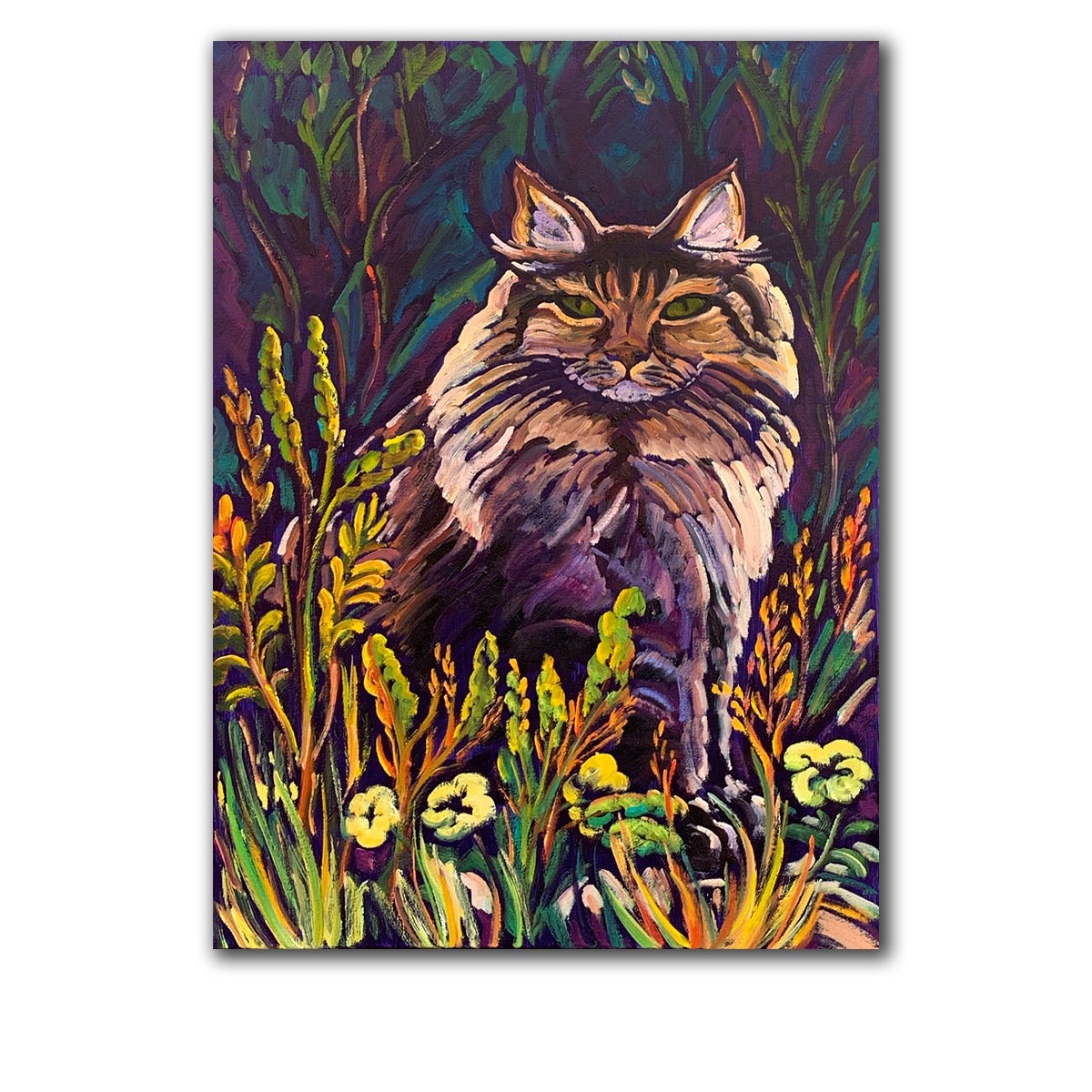 The Maine Coon in the Meadow