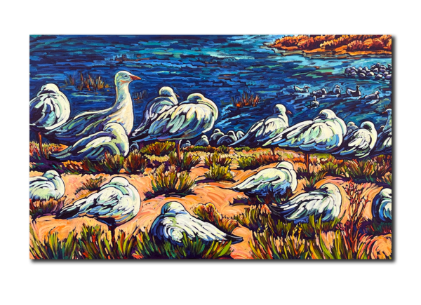 Snow Geese of the Bosque del Apache wetlands