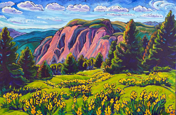 Summer Brazos Cliffs With Yellow Lupine Meadow