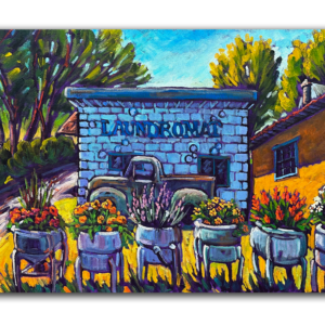 The Flower Laundromat, Bayfield, CO 20x30