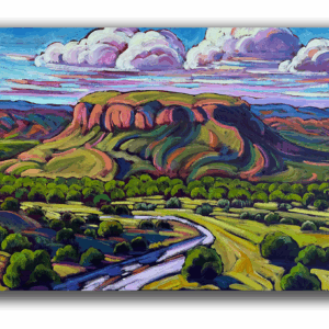 The Skies of Black Mesa 20 x 40