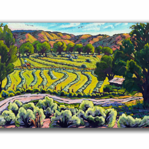 The Abiquiu Hayfield 30x48