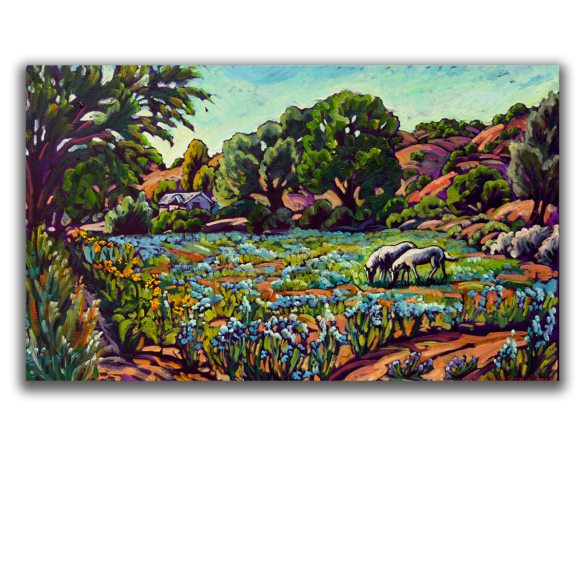 Blue Chicory Fields 15x30